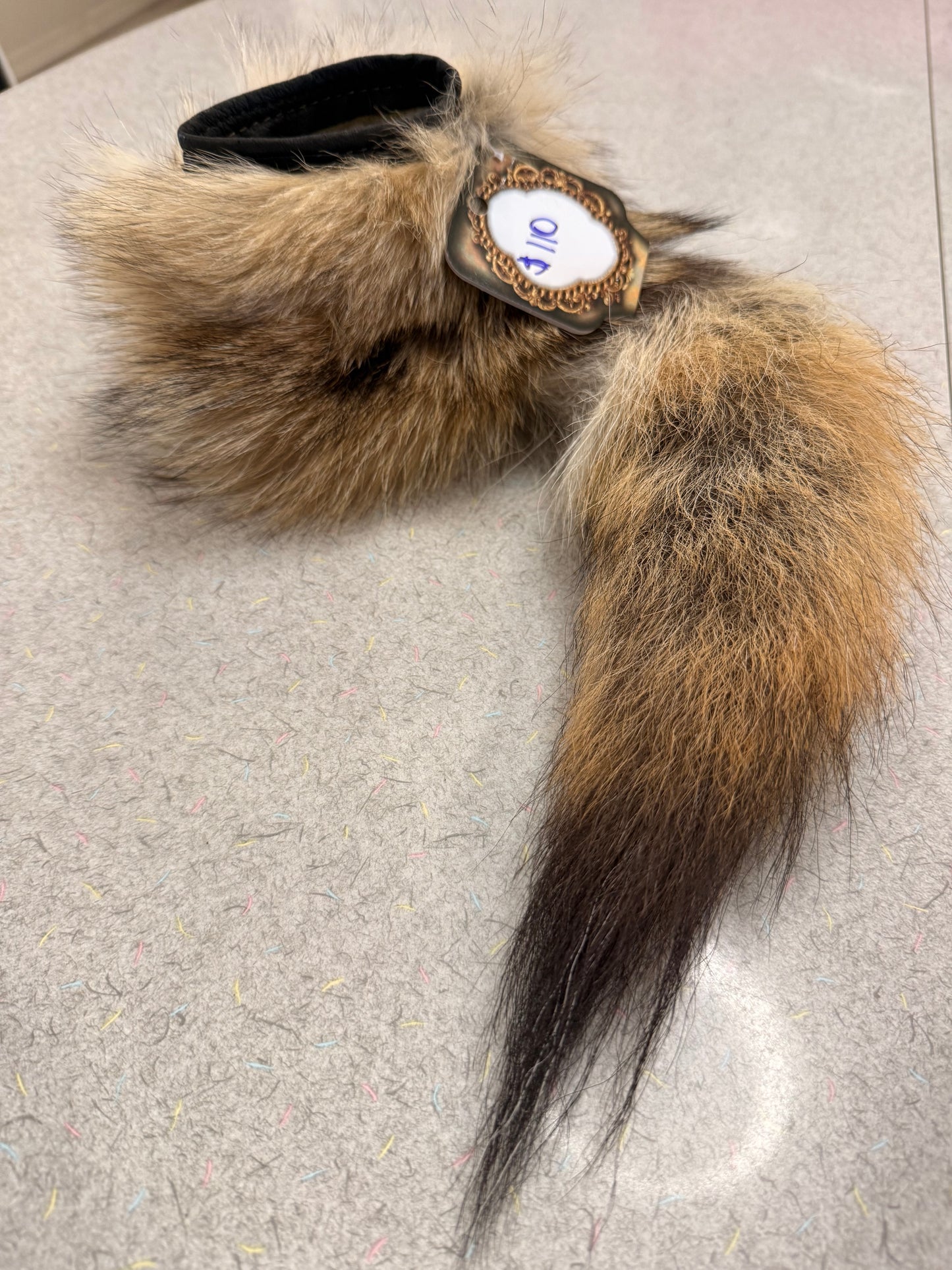 Raccoon Koozie
