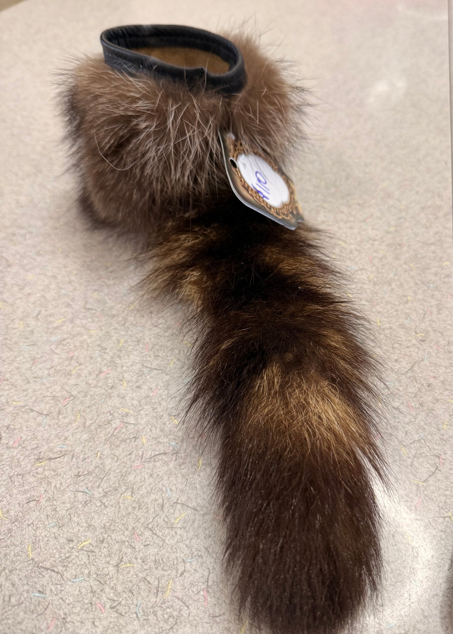 Raccoon Koozie