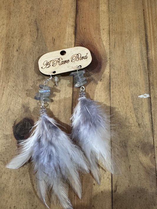 A rare bird feather earrings