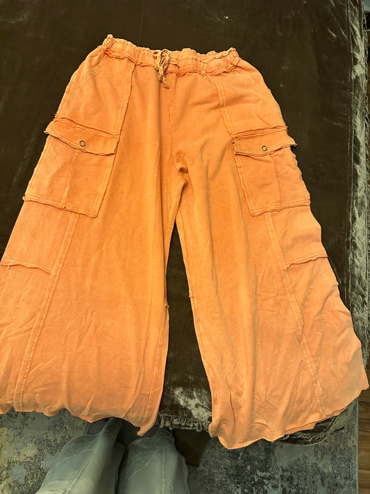 Easel rust pants