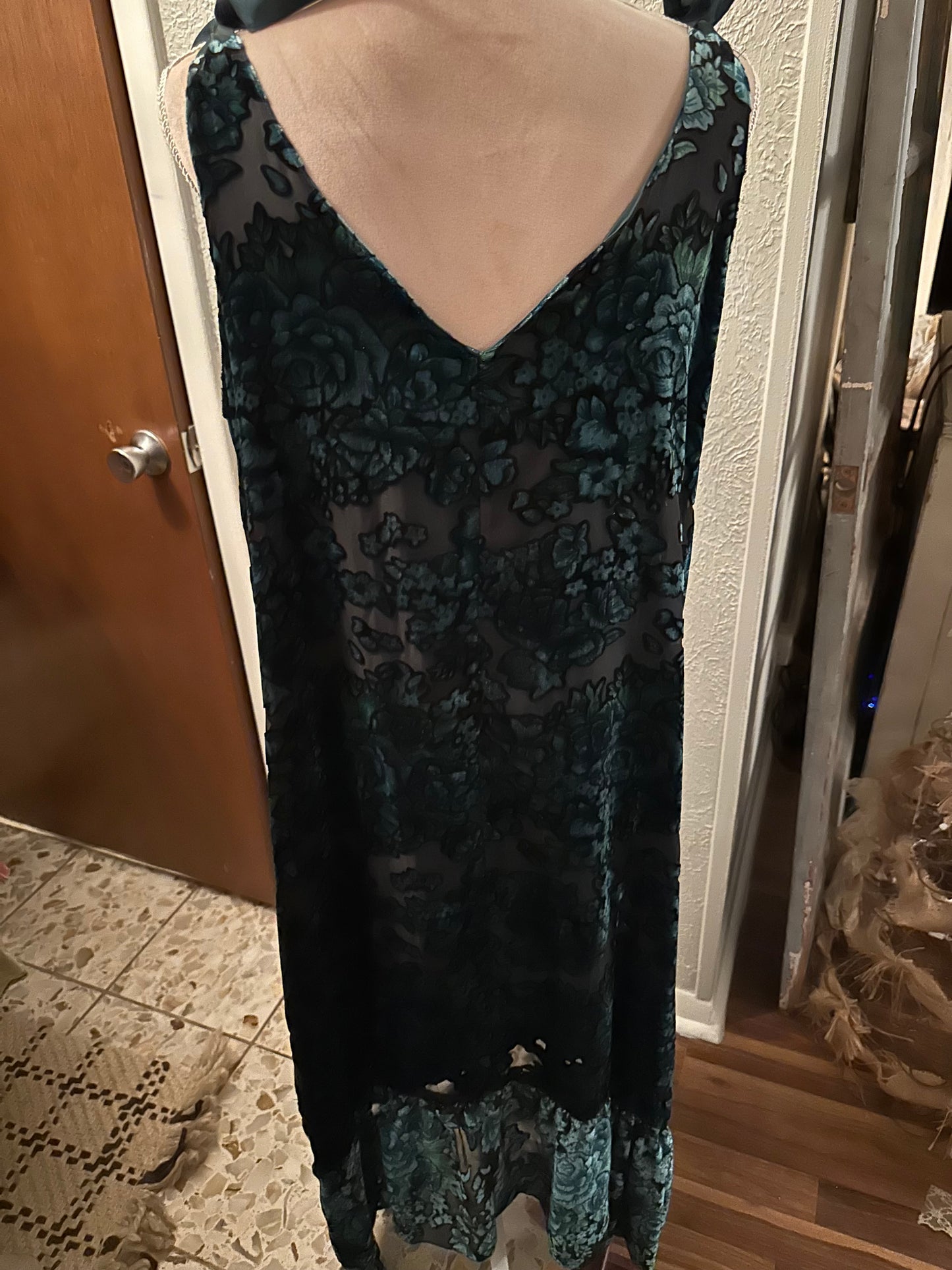 Rare bird velvet dress